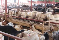 'Kurban etini serin ortamda dinlendirip, iç sıcaklığı 70 derece üzerinde pişirin'