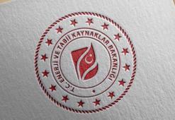 Enerji ve Tabii Kaynaklar Bakanlığı, 1 milyon 900 bin fidanı toprakla buluşturdu