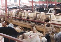 'Kurban etini serin ortamda dinlendirip, iç sıcaklığı 70 derece üzerinde pişirin'