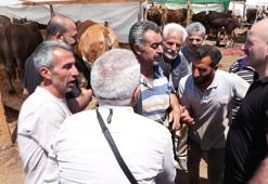 Kurban pazarlarında hareketlilik sürüyor