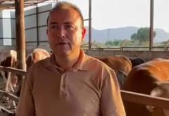 Dananın saldırısına uğrayan iş insanı, 3 gün sonra öldü