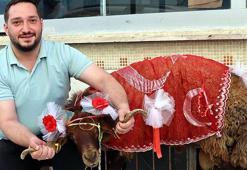 Erzurumlu damattan nişanlısına kurbanlık koç hediyesi