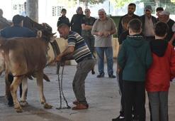 Sivas'ta kurban kesim noktalarında hareketlilik
