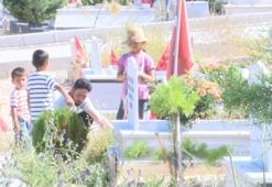 Malatya Deprem Şehitliği'nde buruk bayram