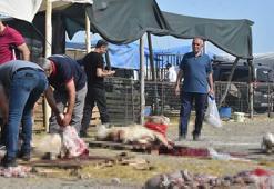 Konya'da izinsiz kurban pazarında, kaçak ve hijyenik olmayan kesim