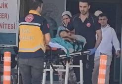 Kurban kesilen bahçede bıçağın üzerine düşen Çınar ağır yaralandı