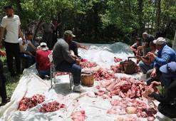 Köyde asırlık bayram geleneği; kesilen bütün kurbanlıkların eti eşit dağıtılıyor