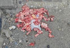 Eti temizlenen yağ ve kemikler sokağa bırakıldı