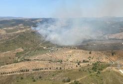 İzmir’de makilik yangını kontrol altında