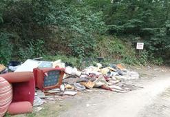 Sakarya’da kurban atıkları ormana atıldı