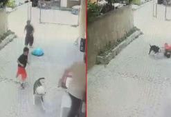Ataşehir’de Pitbull'un 7 yaşındaki çocuğa saldırdığı anlar kamerada: 2 şüpheli serbest bırakıldı