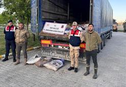 Van'da 19 ton ölü inci kefali ele geçirildi