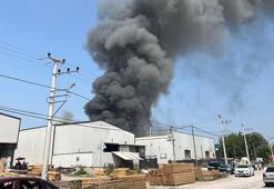Kocaeli'de boya tesisinde yangın