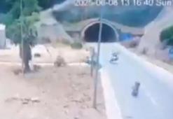 Bakan Yerlikaya: Kurban Bayramı’nın 3'üncü gününde 2 ocağa daha ateş düştü