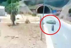 Tünel girişinde can pazarı: 2 ölü, 4 yaralı