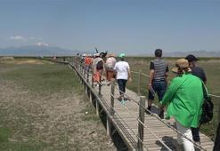 Sultan Sazlığı Milli Parkı'na bayramda ziyaretçi akını