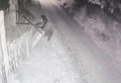 Köye inip bahçe kapısını açan boz ayı kamerada