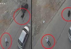 Kesilmek isterken kaçan keçi damdan düştü; o anlar kamerada