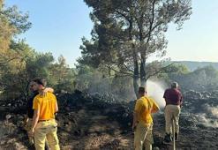 Mangal yaparken ormanı yakmış; tutuklandı