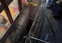 Havalandırma boşluğunda mahsur kalan 2 yavru kediyi itfaiye kurtardı