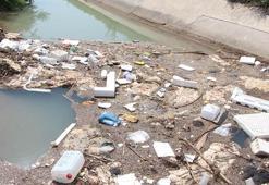 Kurban atıkları kanallara atıldı; kötü görüntü ve koku sağlığı tehdit ediyor