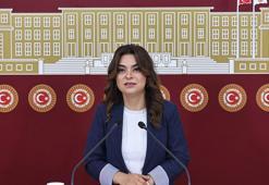 DEM Parti'li Koçyiğit: Bütün partiler İmralı'ya gitmeli