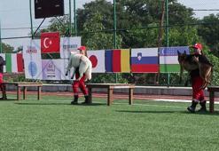 9 ülkeden 27 arama kurtarma köpeği İstanbul'daki şampiyonada