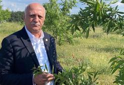 TZOB Genel Başkanı Bayraktar: 2025’e afet açısından çok hızlı başladık