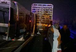 Bolu'da yolcu minibüsü, kamyona çarptı; 16 yaralı