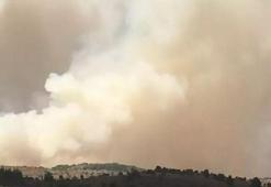 Ankara'da orman yangınlarına karşı 'açık ateş' yasağı