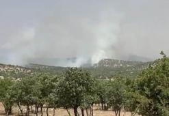 Mardin'deki orman yangını kontrol altında