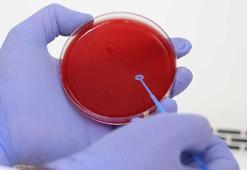 Türkiye'nin biyolojik kültür koleksiyonu