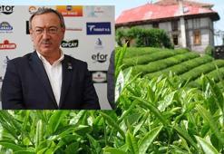 ÇAYKUR Genel Müdürü Alim: Toprağımızın yapısal özellikleri kaybolmaya başladı