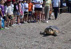 Yaralı bulunan deniz kaplumbağası tedavi sonrası Akdeniz'le buluştu