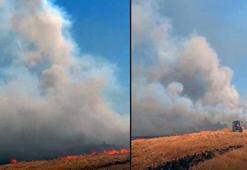 Mardin'deki yangında 1000 dönüm buğday yandı