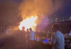 Avcılar'da düğün sırasında atılan havai fişekler parkta yangın çıkardı