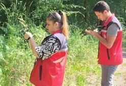 Kandıra’da 5 bin adet Samuray Arısı doğaya salındı