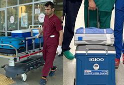Antalya bölgesi, aile izinli organ bağışında Türkiye birincisi