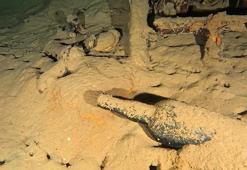 110 yıllık şarap şişesi gün yüzüne çıkarıldı