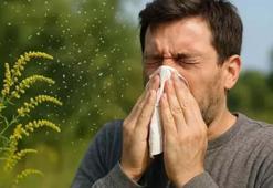 Uzmanından 'polen' uyarısı: Belli saatlerde dışarı çıkmayın, pencere açmayın