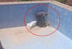 Boş havuza düşen yavru tilkiyi kurtardı; o anlar kamerada