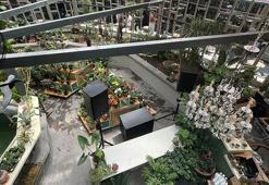 Botanik Sera’da kadınlara istihdam