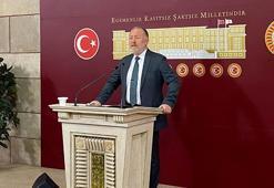 DEM Parti'li Temelli: Türkiye'de barışı inşa etmek belki İsrail'i de durduracaktır