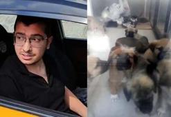 Sahiplendiği köpekleri öldürdüğü iddia edilen doktor hakkındaki iddianame kabul edildi