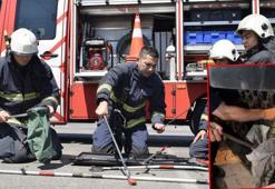 'Açıkta bırakılan süt yılanları cezbediyor'