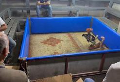 Adana'da horoz dövüştürenlere suçüstü