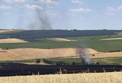 Tekirdağ'da 70 dönüm buğday tarlası yandı