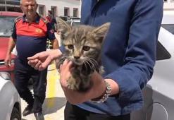Otomobilin motoruna sıkışan yavru kedi kurtarıldı