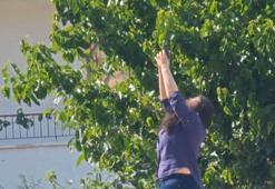 Erkek arkadaşının ofisine ateş açıp, kendini vurmaya çalıştı