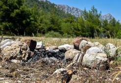 Ormanlarda yangın riski; gelişigüzel cam şişe atıp, ateş yakmışlar